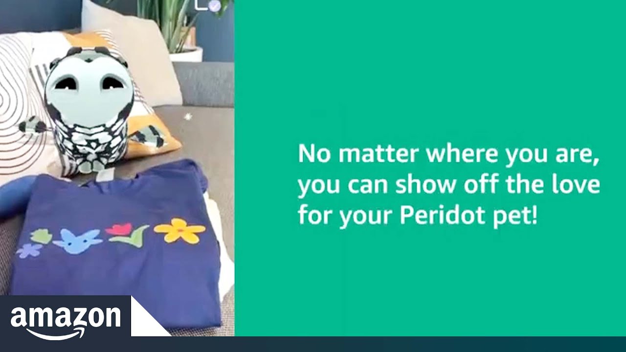 How to use Amazon Anywhere