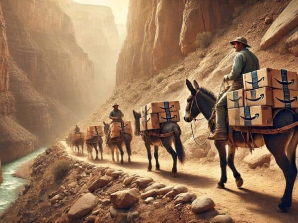 Wie Amazon in die entlegensten Regionen der Welt liefert: Grand Canyon, USA