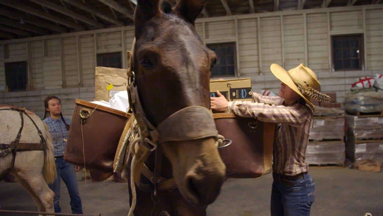 Wie Amazon in die entlegensten Regionen der Welt liefert: Grand Canyon, USA